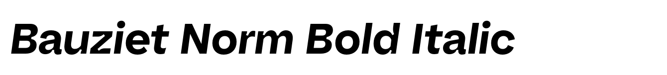 Bauziet Norm Bold Italic image